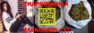 индика Апрелевка