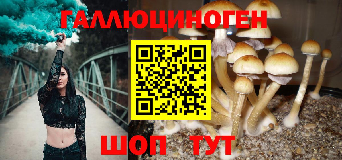 Галлюциногенные грибы ЛСД Артём