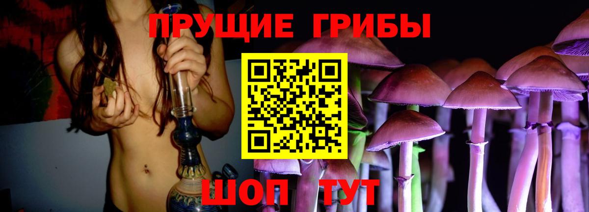 Артём  Галлюциногенные грибы Magic Shrooms  Вход с VPN  Галлюциногенные грибы Psilocybine cubensis 